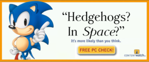 Read more about the article Hedgehogs in Space? It’s More Likely than You Think