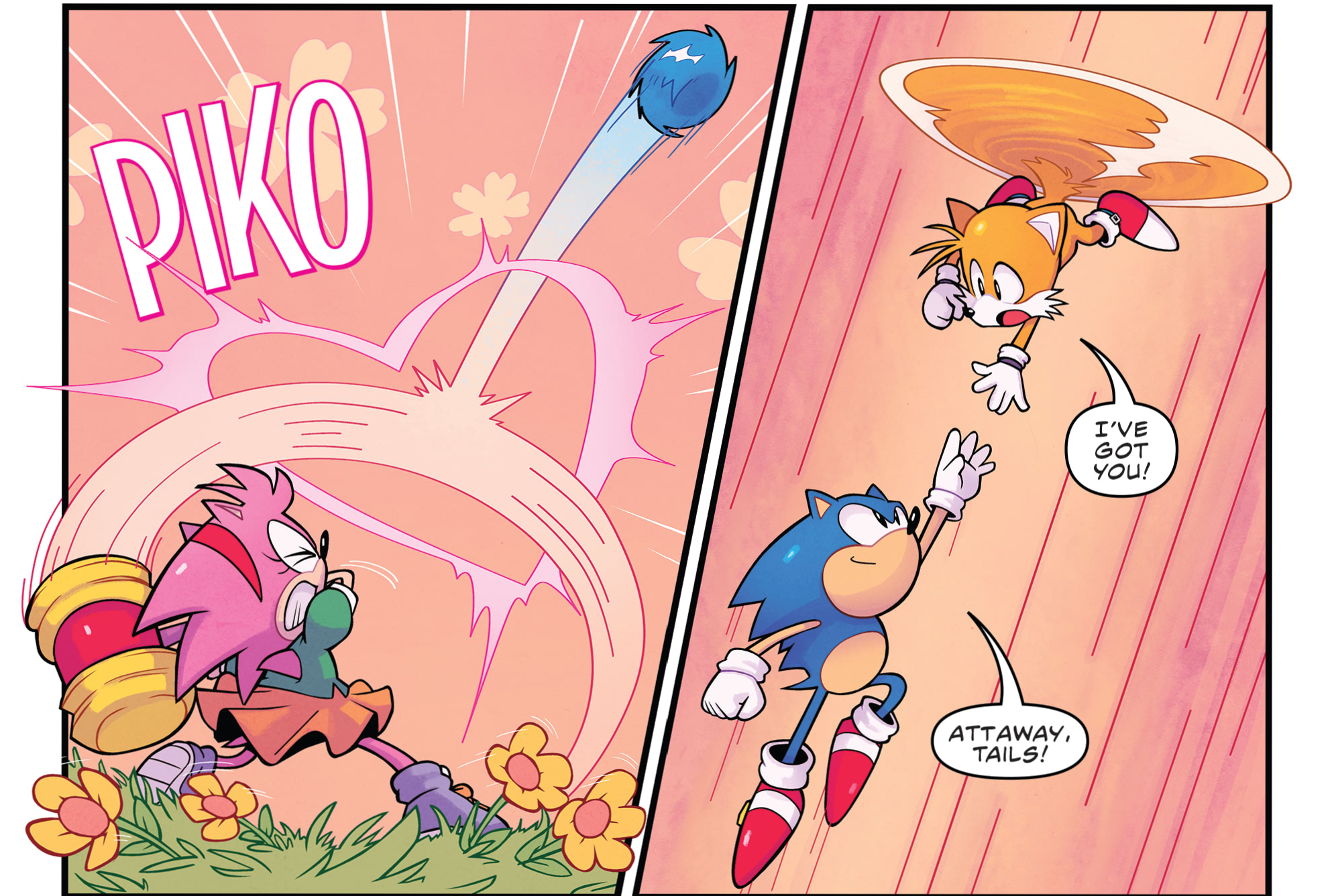 Amy Rose | The Sonic the Hedgehog Wiki