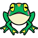 Froggy Stare