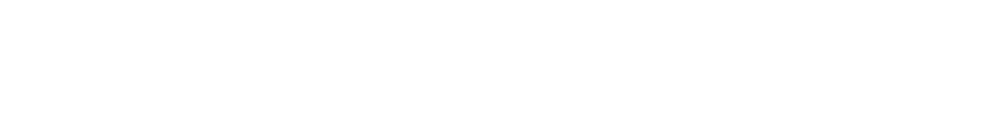 SONIC PICO PARK