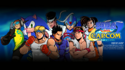 Sonic Fan Fighter SEGA VS CAPCOM: The Next Level Shut Down Over Capcom Characters