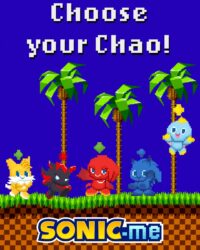 SonicMe Adds Chao, Tangle's Tail and Pink Hair in New Update