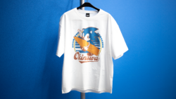 SEGA Opens Okinawa Pop-Up Shop With Exclusive Surfing Sonic T-Shirt and Sticker